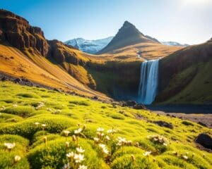 Warum ist Island ein einzigartiges Urlaubsziel?