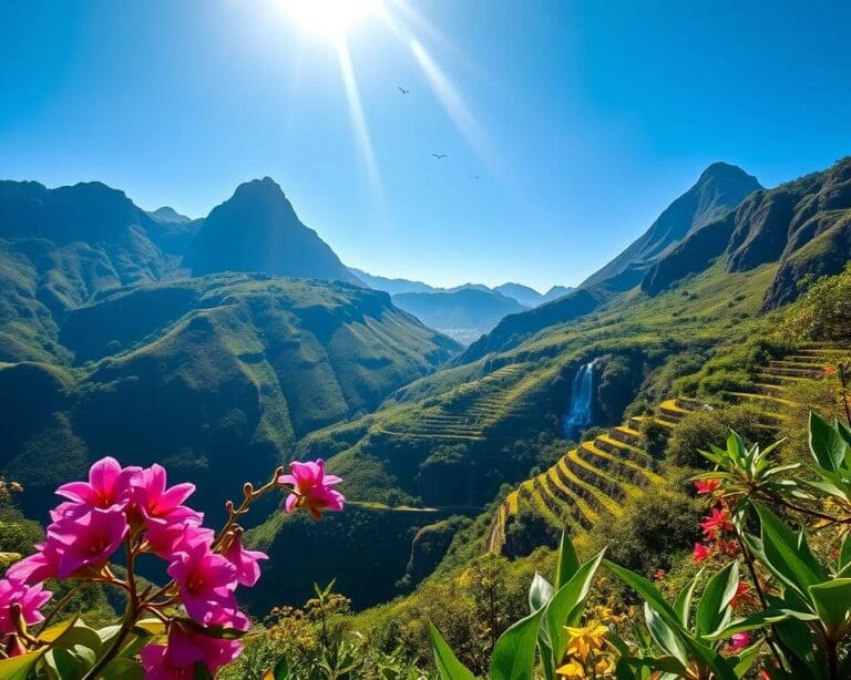 Warum ist Madeira ein Naturparadies?