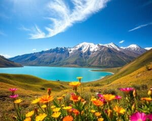 Warum ist Chile landschaftlich besonders?