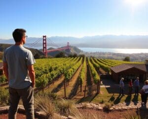 Was sollte man in Kalifornien entdecken?