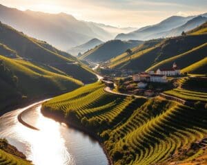 Douro Tal