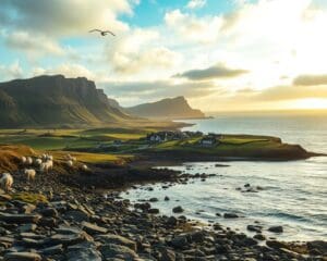 Shetland Inseln